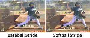 baseball vs softball stride length